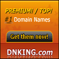 Domain Name King - DNKing.com